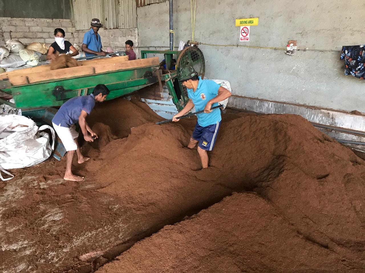 Hanjo Farm - Image 3